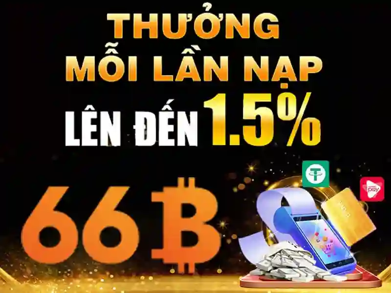 66b: Một cái nhìn tổng quan