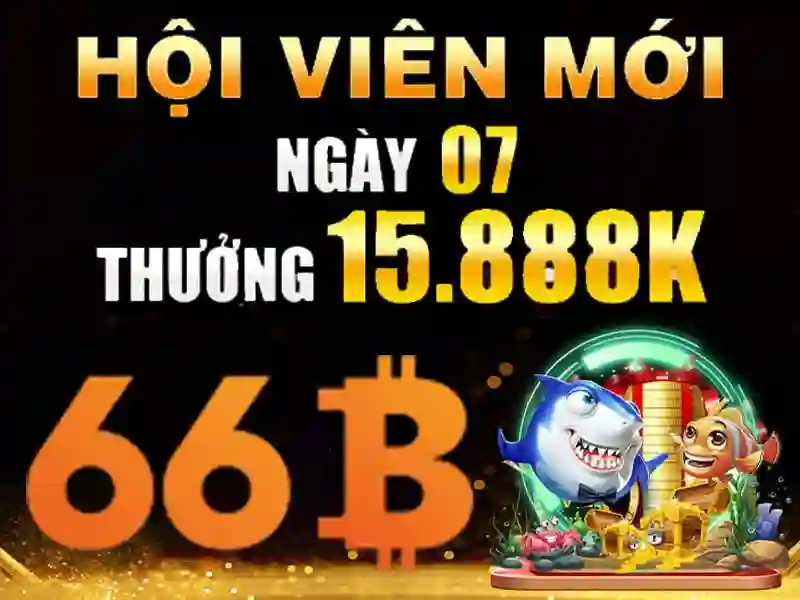 66b – Hành trình đổi mới và trải nghiệm đỉnh cao cho người dùng