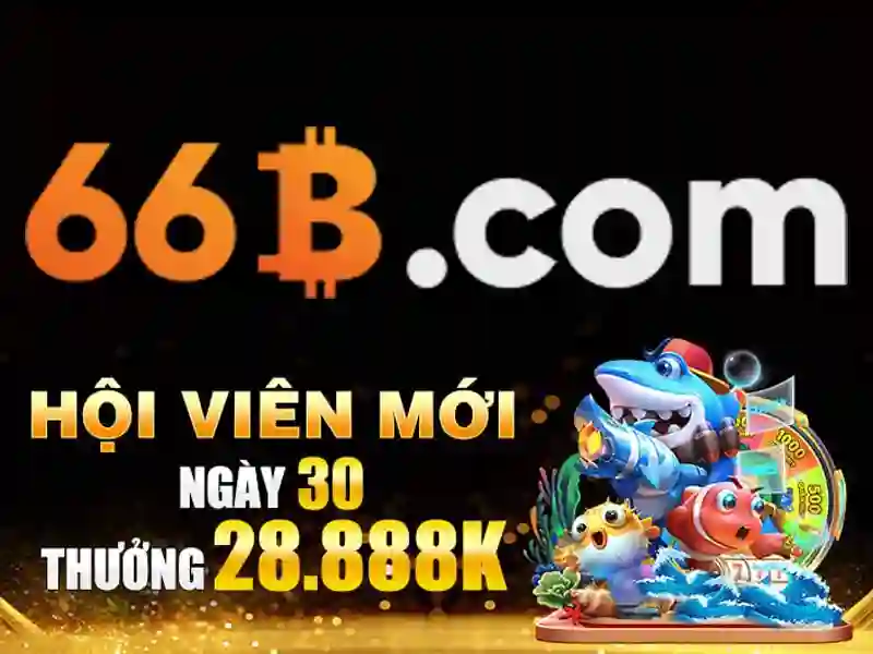 ecm 66b – Đổi mới hệ sinh thái số cho doanh nghiệp