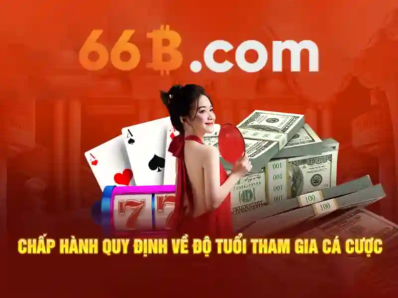 66b – Hành trình đổi mới và trải nghiệm đỉnh cao cho người dùng