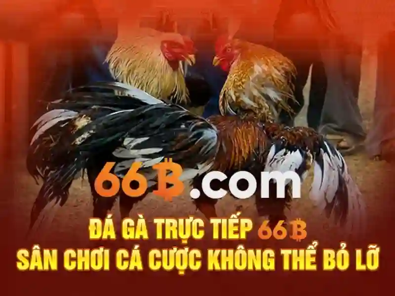 66B: Mô hình ngôn ngữ lớn 66B và ảnh hưởng của nó