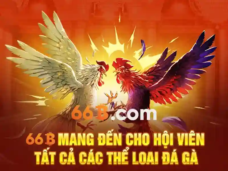 cd 66b fitc - Trải nghiệm đột phá và giá trị thương hiệu