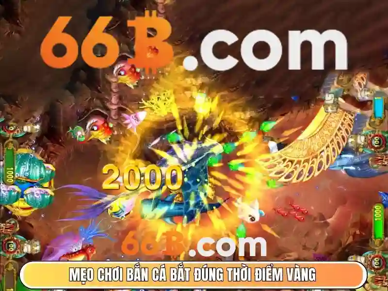 cd 66b fitc - Trải nghiệm đột phá và giá trị thương hiệu