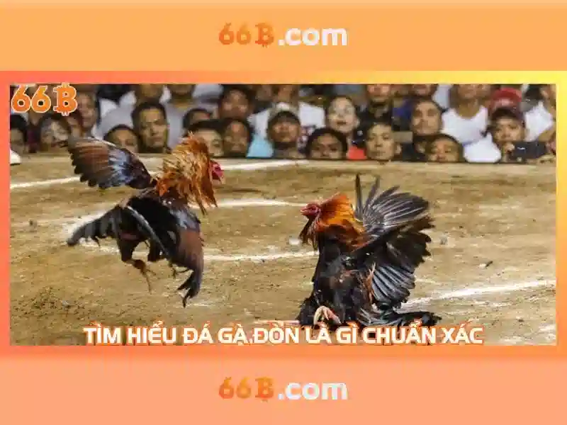 66B: Tổng quan về mô hình ngôn ngữ với 66 tỷ tham số