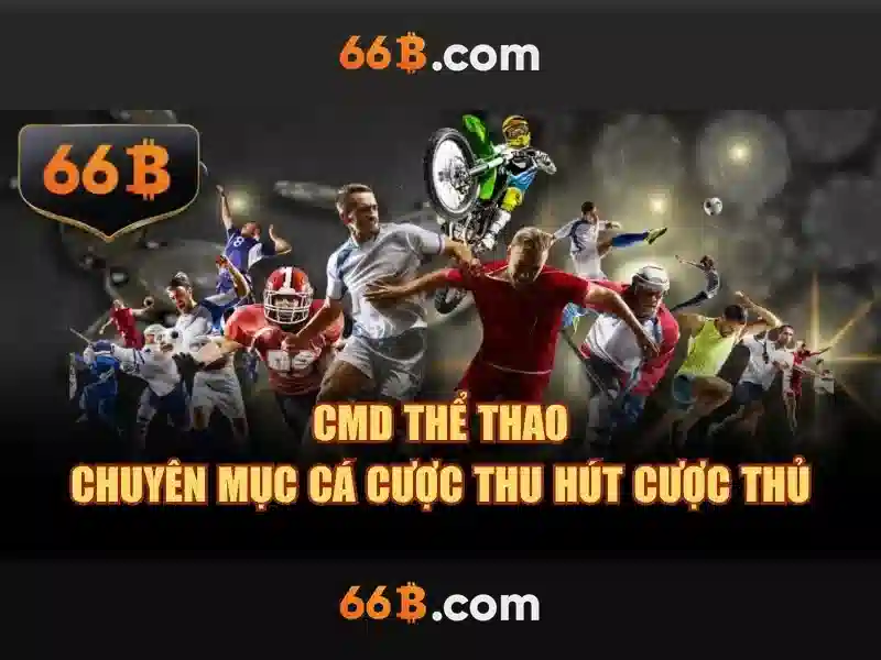 66b: khái niệm, kích thước và ứng dụng