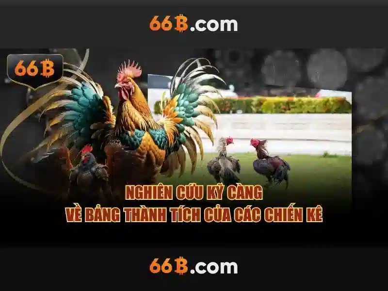 Chơi bài 66b – Trải nghiệm, nguồn gốc và lộ trình phát triển