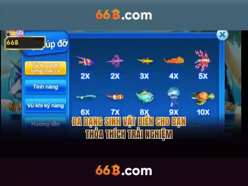 66b hạ long – hành trình thương hiệu và trải nghiệm người dùng