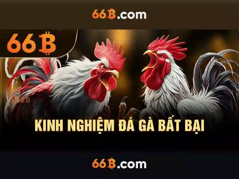 66b - Khái niệm, nguồn gốc và ứng dụng