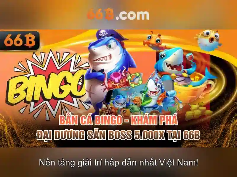 66b: một ký hiệu đầy bí ẩn