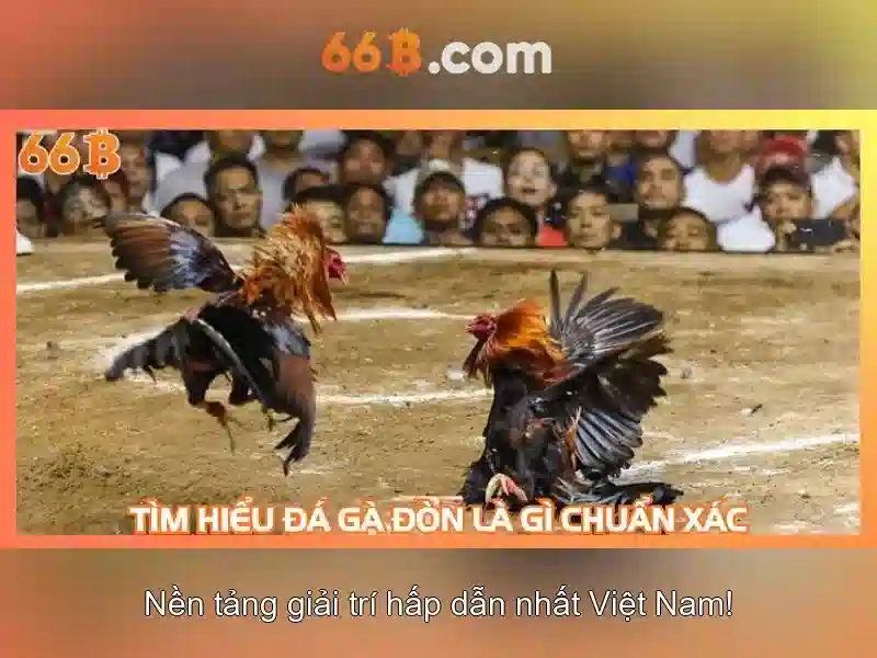 66B - Mô hình ngôn ngữ quy mô 66 tỷ tham số