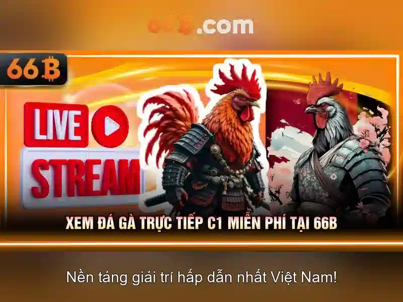 Vài nét về mô hình 66B và ảnh hưởng của nó