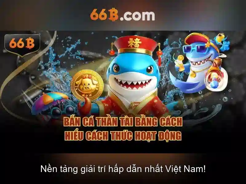 66b: một con số và câu chuyện đằng sau nó