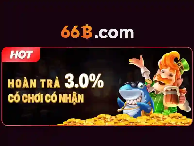 hentai 66b: Định hình thương hiệu và trải nghiệm người dùng