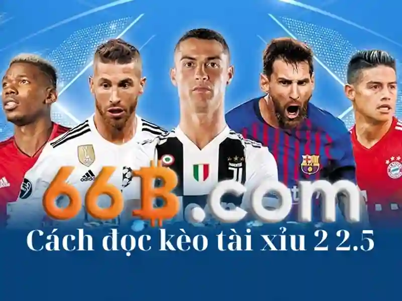 đăng xuất 66b – Hành trình thương hiệu và trải nghiệm người dùng