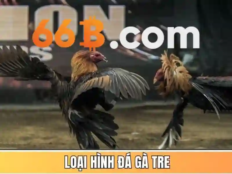 66b army - Hành trình thương hiệu và trải nghiệm