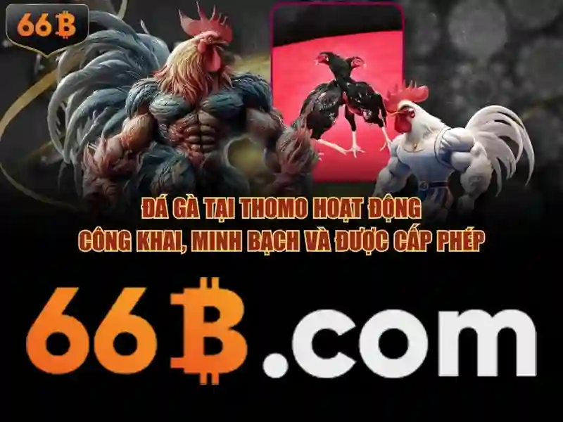 66b là gì và tại sao nó quan trọng