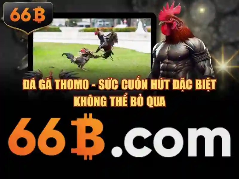 Khám phá 66b