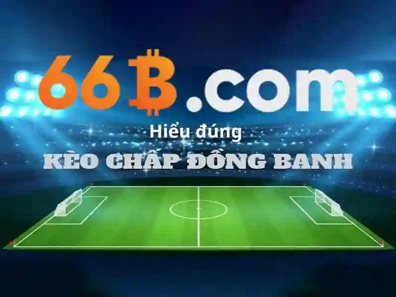 336/66b phan văn trị, p11, q.bình thạnh, hcm – Ứng dụng và giá trị