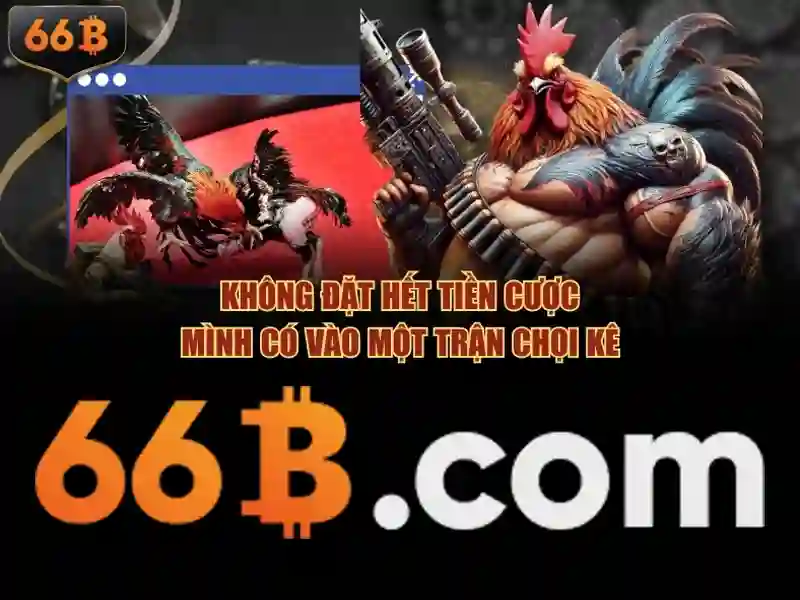 sony ecm 66b – Tổng quan và ứng dụng sáng tạo