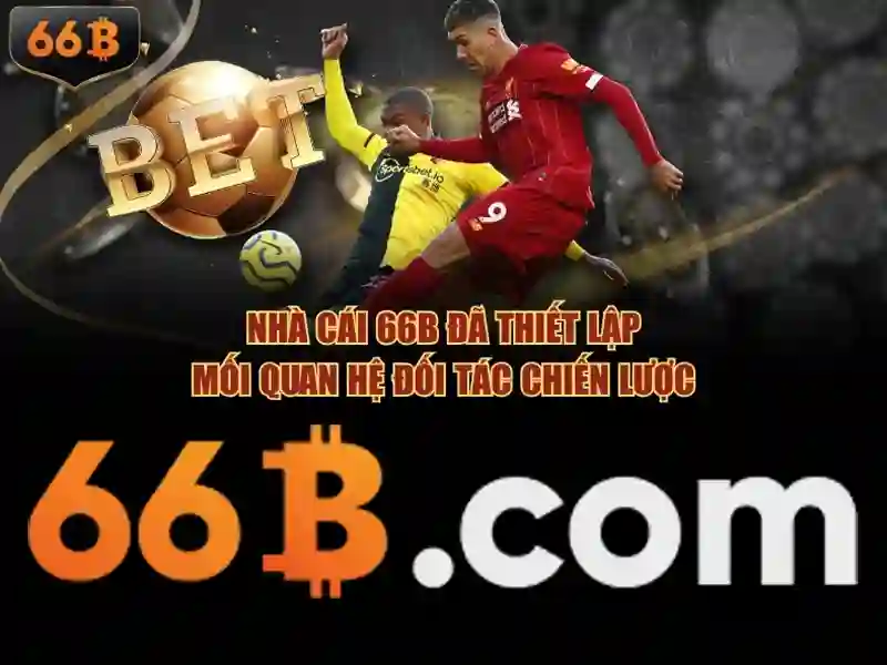 66b: khái niệm và ứng dụng trong thế giới số