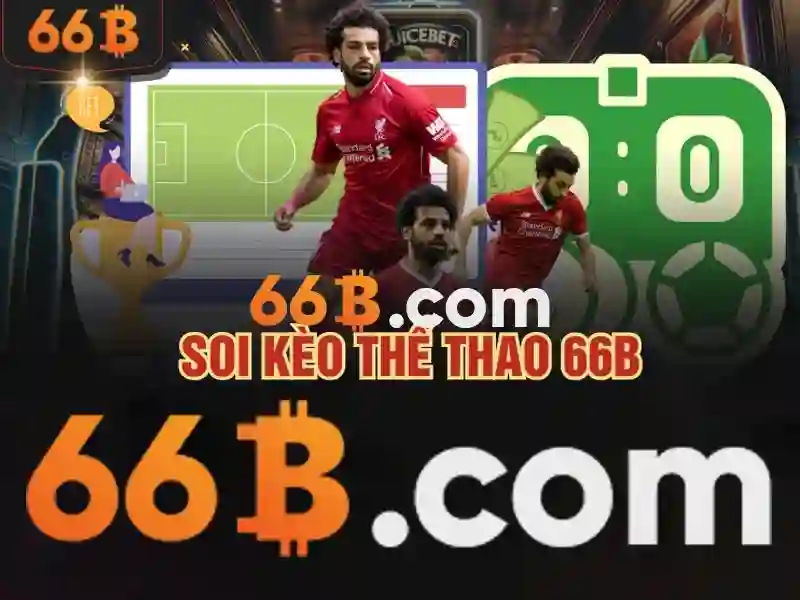 tai 66b: Tổng quan thương hiệu, ứng dụng và tiềm năng