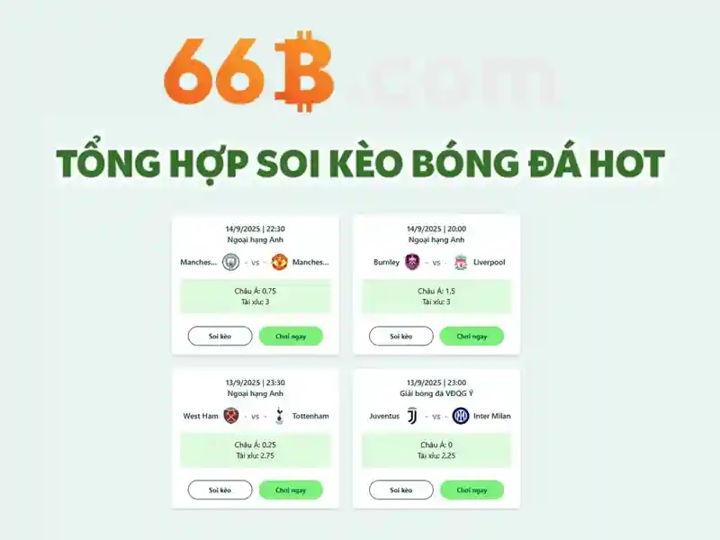 66b – Hành trình đổi mới và trải nghiệm đỉnh cao cho người dùng