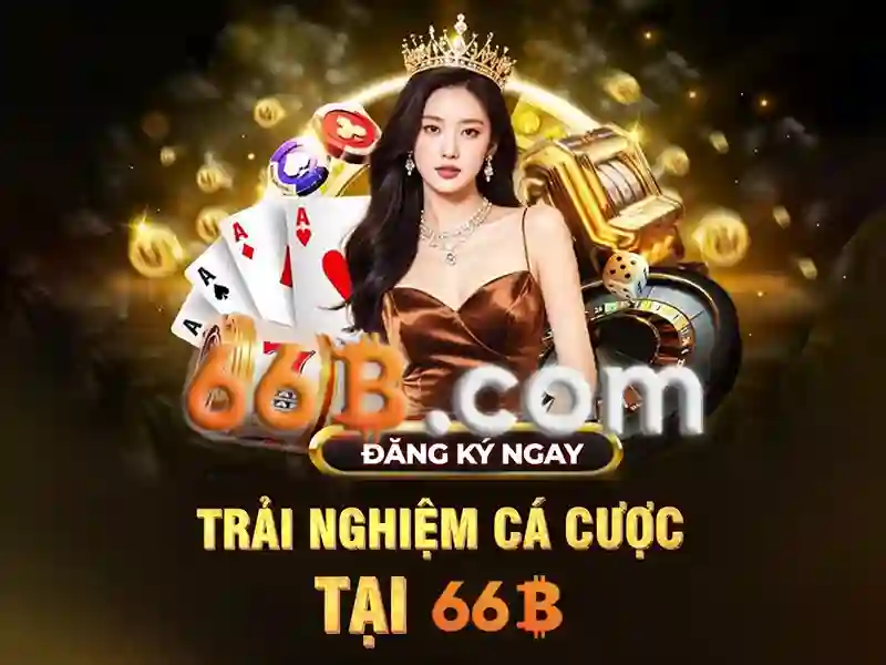 66b bus schedule: hành trình thương hiệu và ứng dụng toàn diện